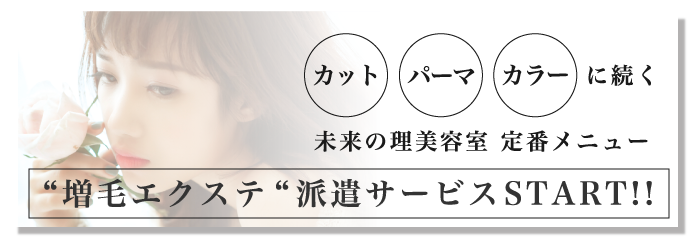 アデランス フォンテーヌ ヘアプラス 増毛エクステ 商品の良いところ