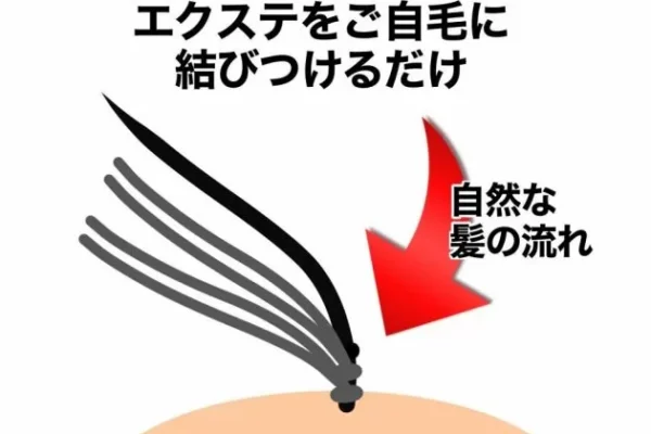 従来技法のイメージ
