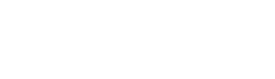 ROMA PINK